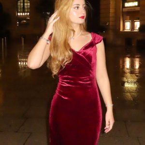 Wine Red 1960s Velvet Bodycon Dress